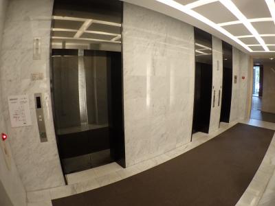 エルザグレース堀江タワー