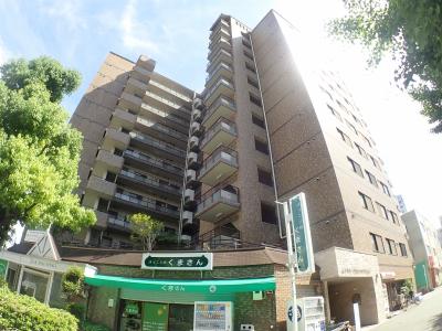 グローバル辰巳橋