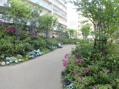 リバーガーデン福島木漏れ日の丘F棟