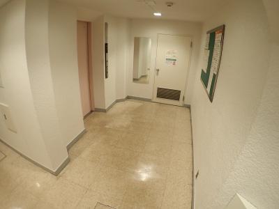 ルックハイツ南堀江