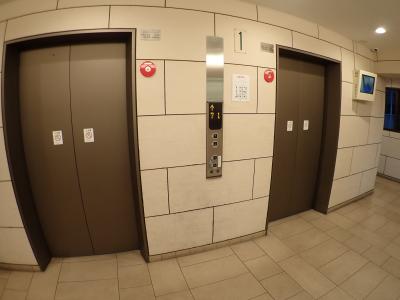 エルベロワイヤル16