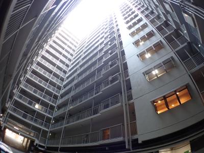 エルベロワイヤル16