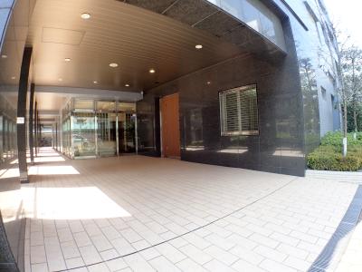 ジオタワー京町堀