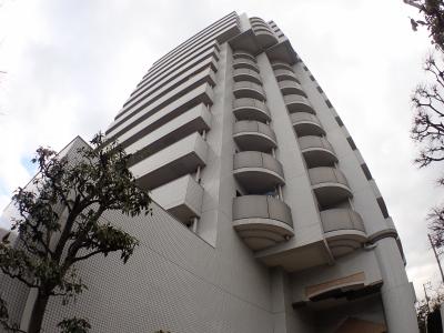 ハイネス九条