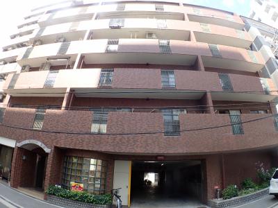 ハイマート堀江