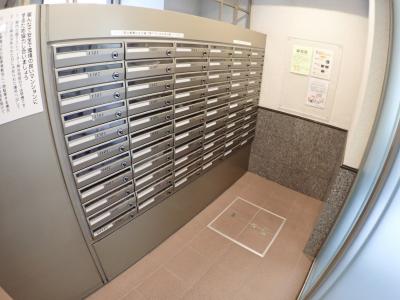 ディオ・フェルティ本町西