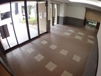 ディオ・フェルティ本町西