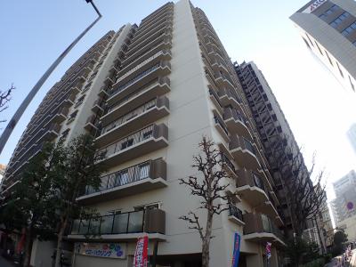 エルベロワイヤル16