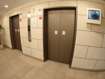 エルベロワイヤル16