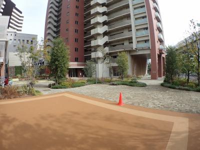 阿波座ライズタワーズマーク20