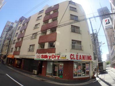 新町ダイアパレス2号館